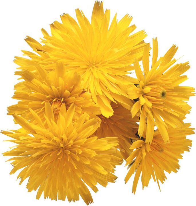 dandelion extract in Alcozar falls