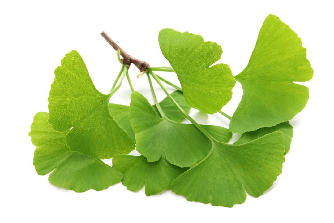 ginko biloba in drops Alcozar